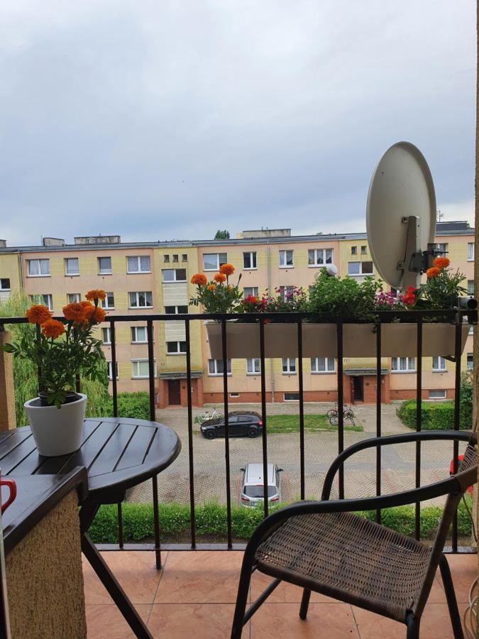 Julia Apartament W Centrum ชวีโนวิชแจ ภายนอก รูปภาพ